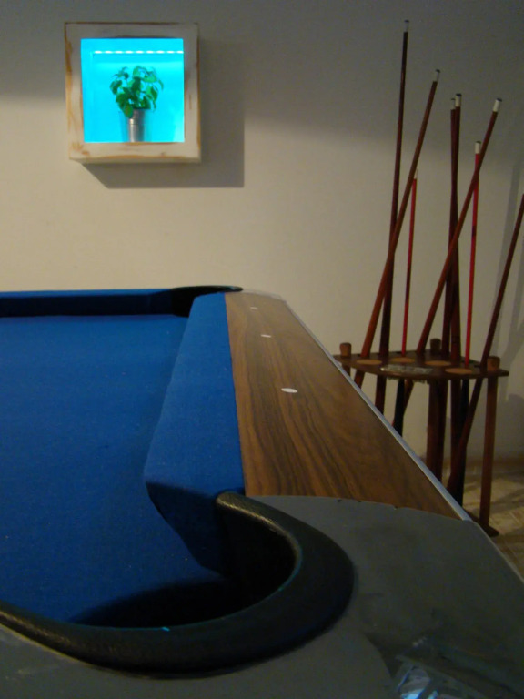 Apartamentos Fleming 50