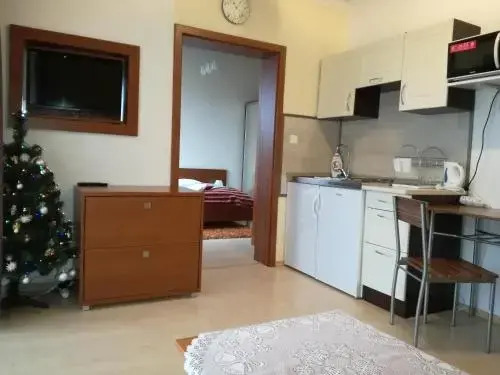 Luxury Apartment
