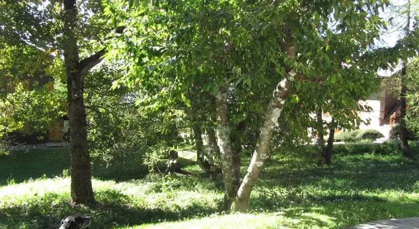 Le Génépi
