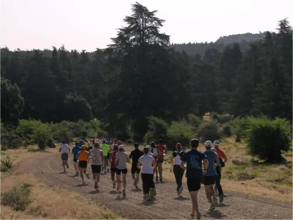 Un havre de paix à Ifrane