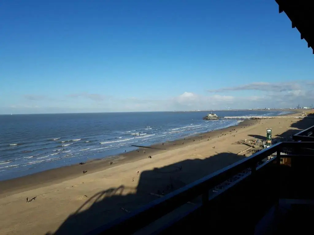 Large beachstudio seaview Blankenberge near Brugge