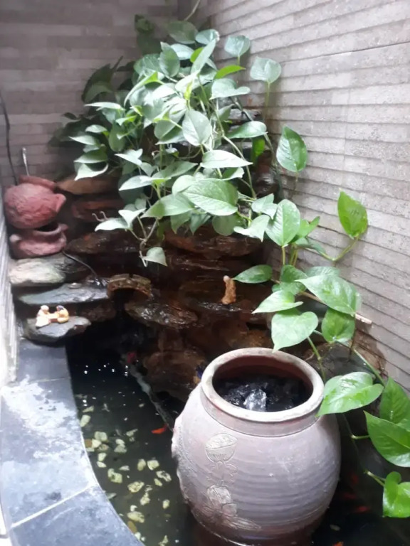 Tinh Khoi Hotel