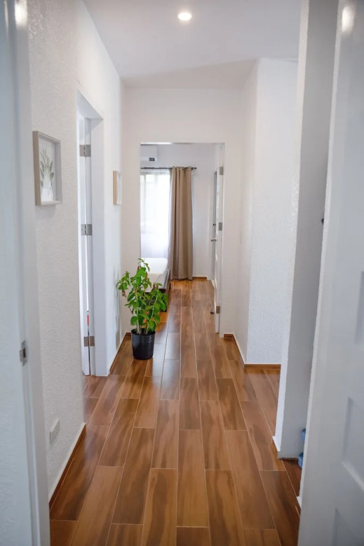 Aila Homestay