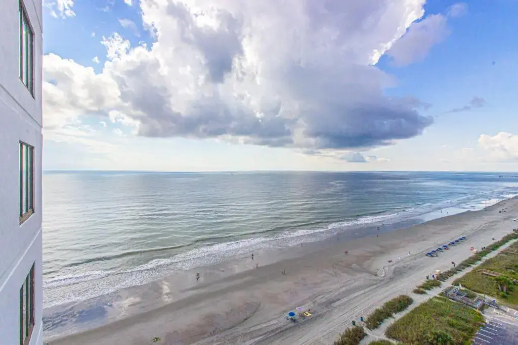 Ocean View Studio with Great Views! Palace Resort 1605