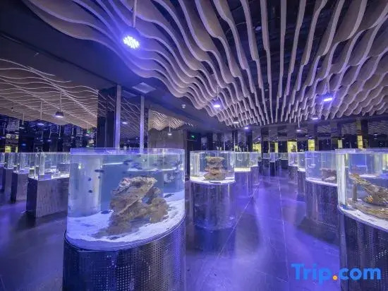 Sanya Ocean Exploration World Conference Training Center