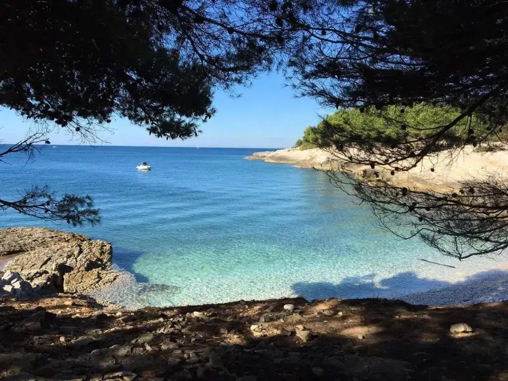 Apartman Fiorellino