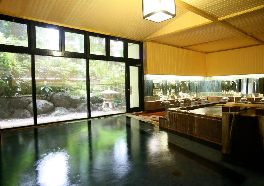 Hotel Oonoya