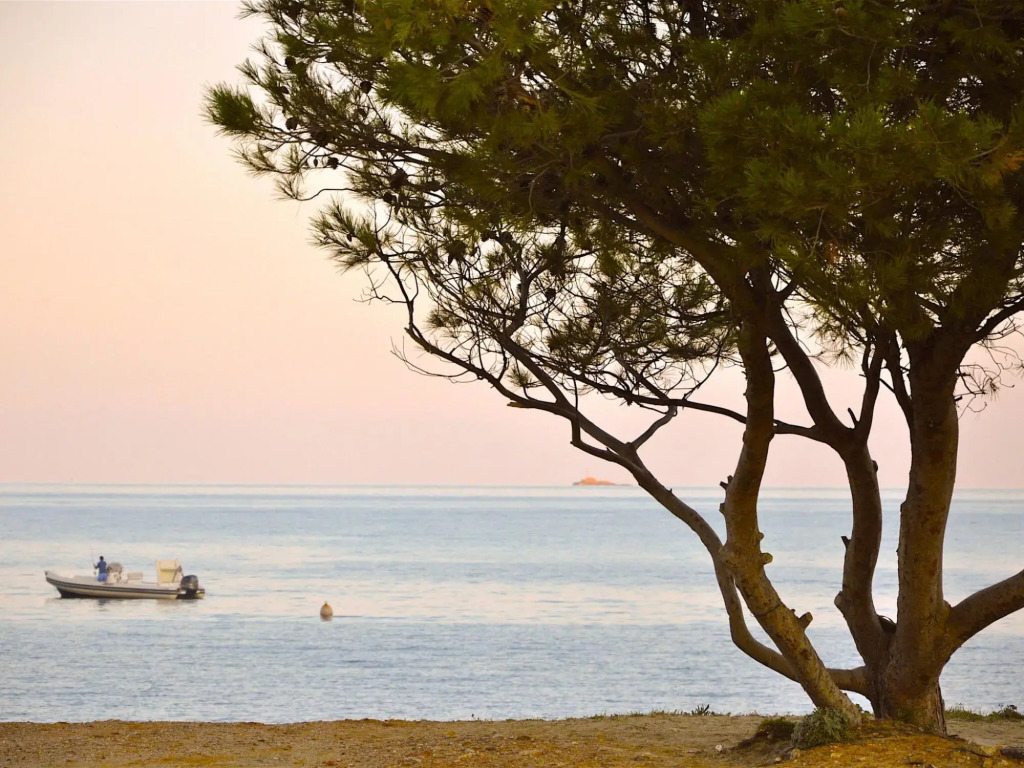 Lush Holiday Home in Bormes les Mimosas with Swimming Pool