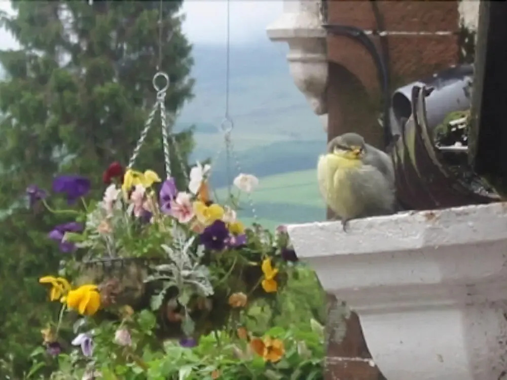 Marchbankwood Guest House