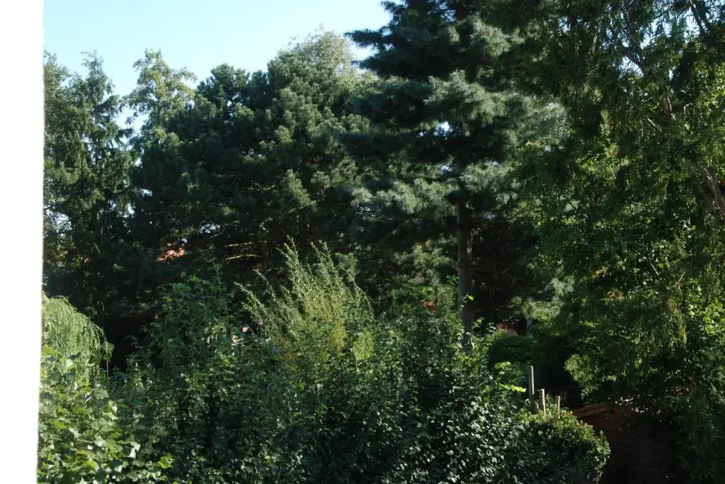 B&B Garden55