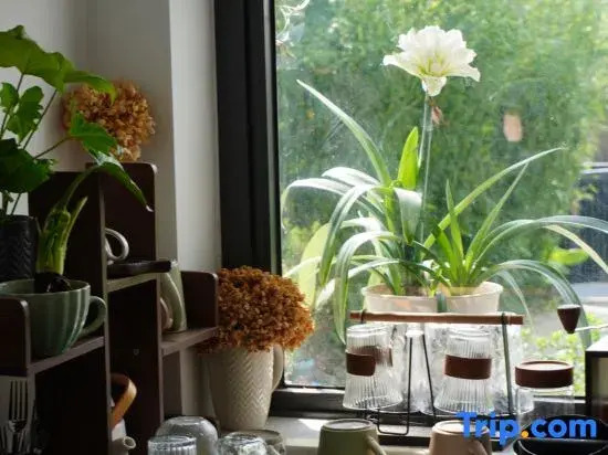 Ju Bai Homestay