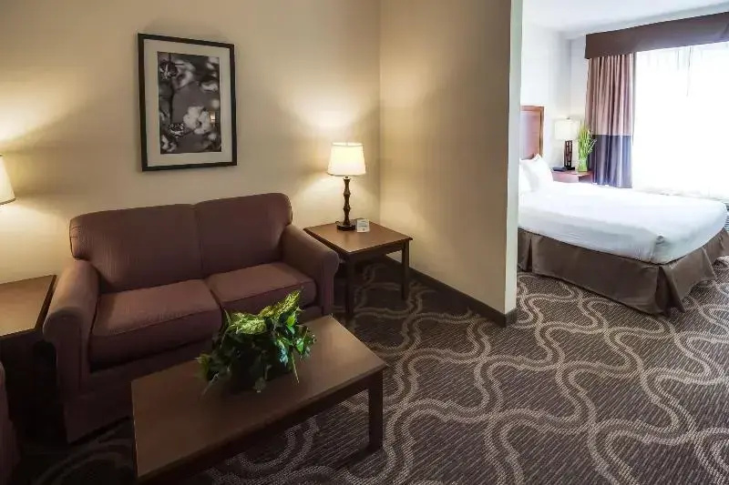 Holiday Inn Lubbock South
