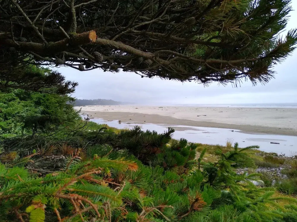 Starfish Point