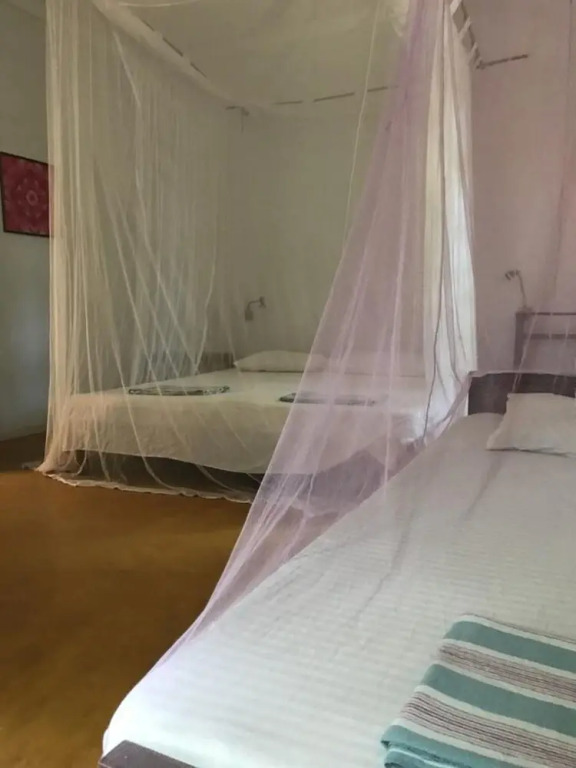 Unawatuna Hostel Honey Packers