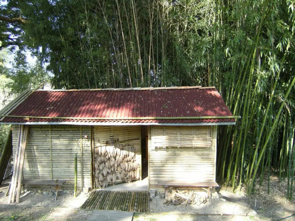 La Cigogne