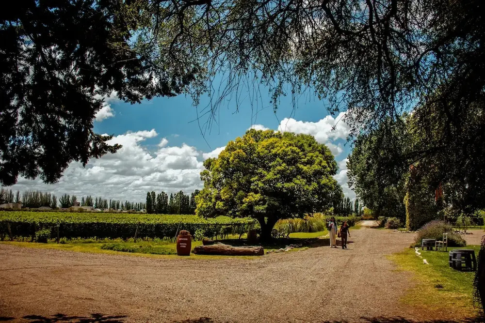 Lodwine Lodges