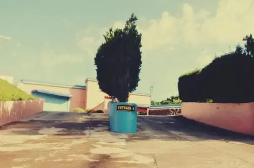 Motel Flamingo