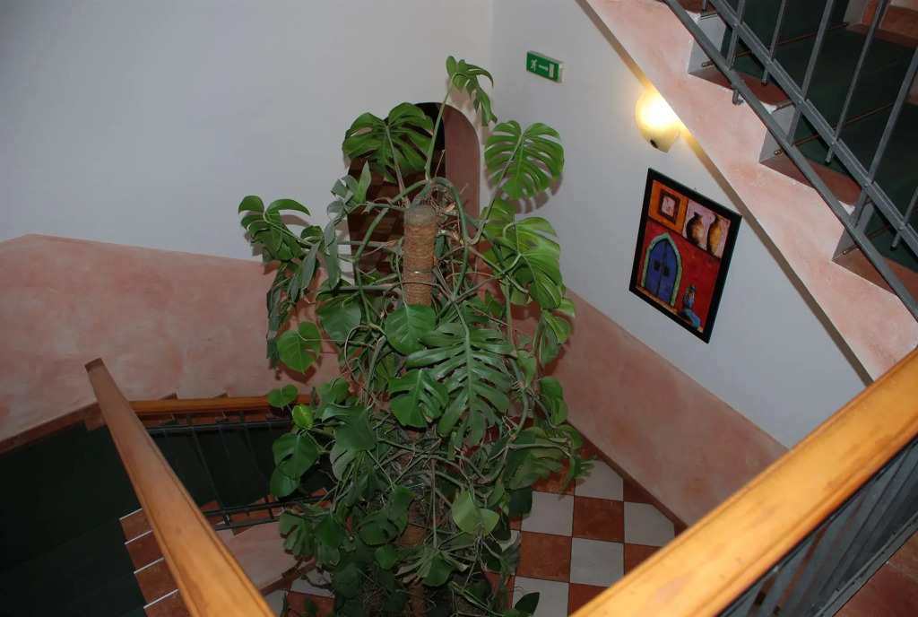 Hotel Bogart 2