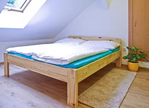 Pension U pálenice