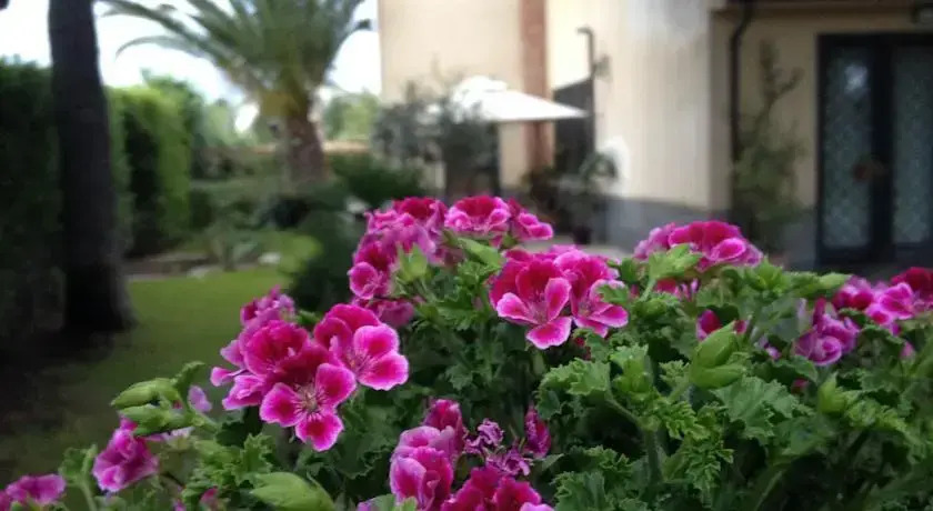 Acireale tra lEtna e il Mare