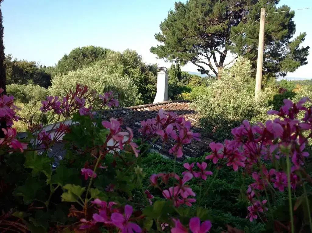 Casale Ai Poggi