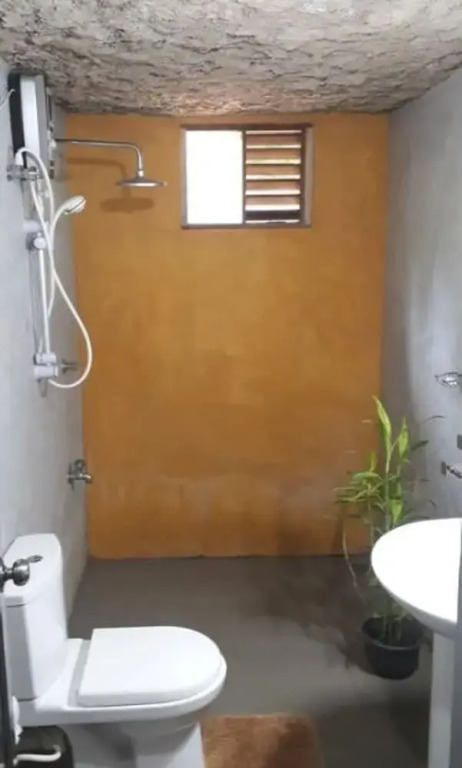 Mango Tree House