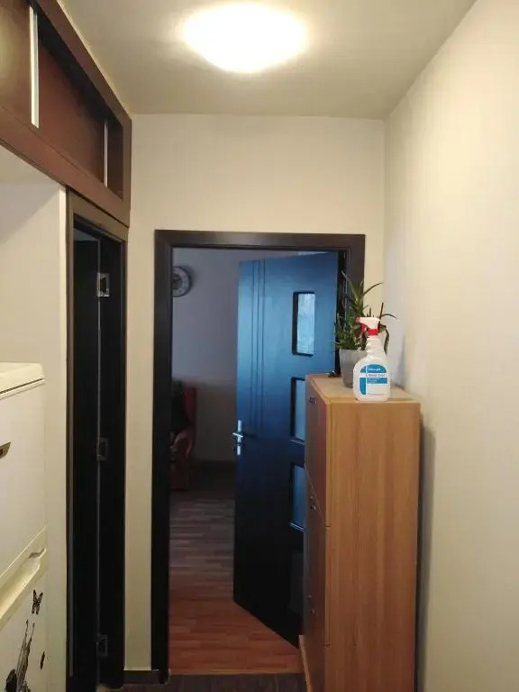 Apartament Albatros Mangalia