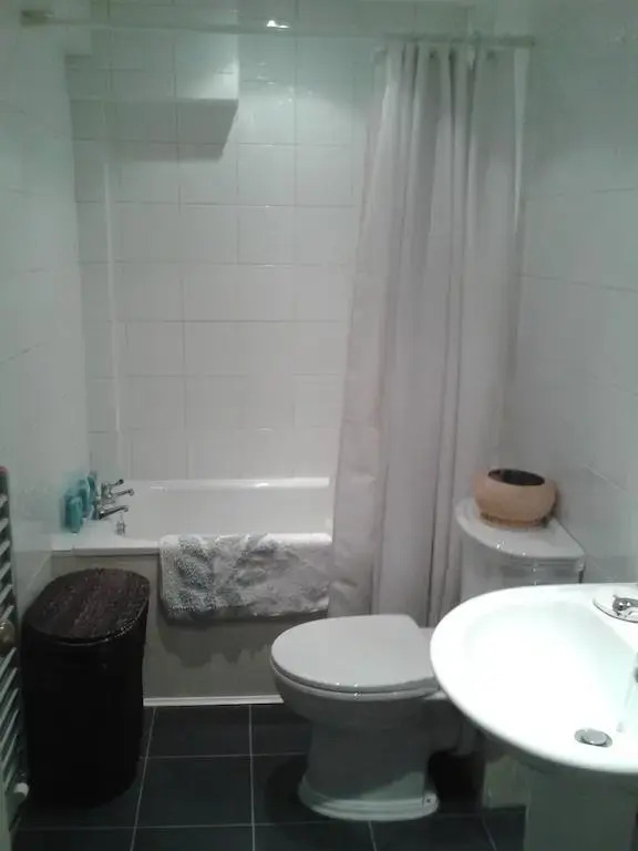 City Centre New Town Apartment