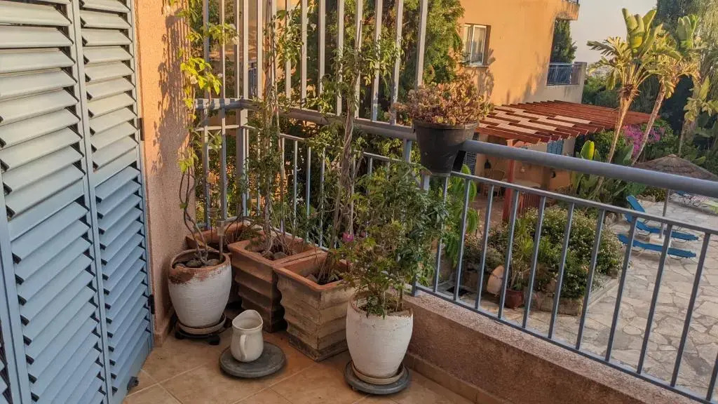 P.Gardens 103