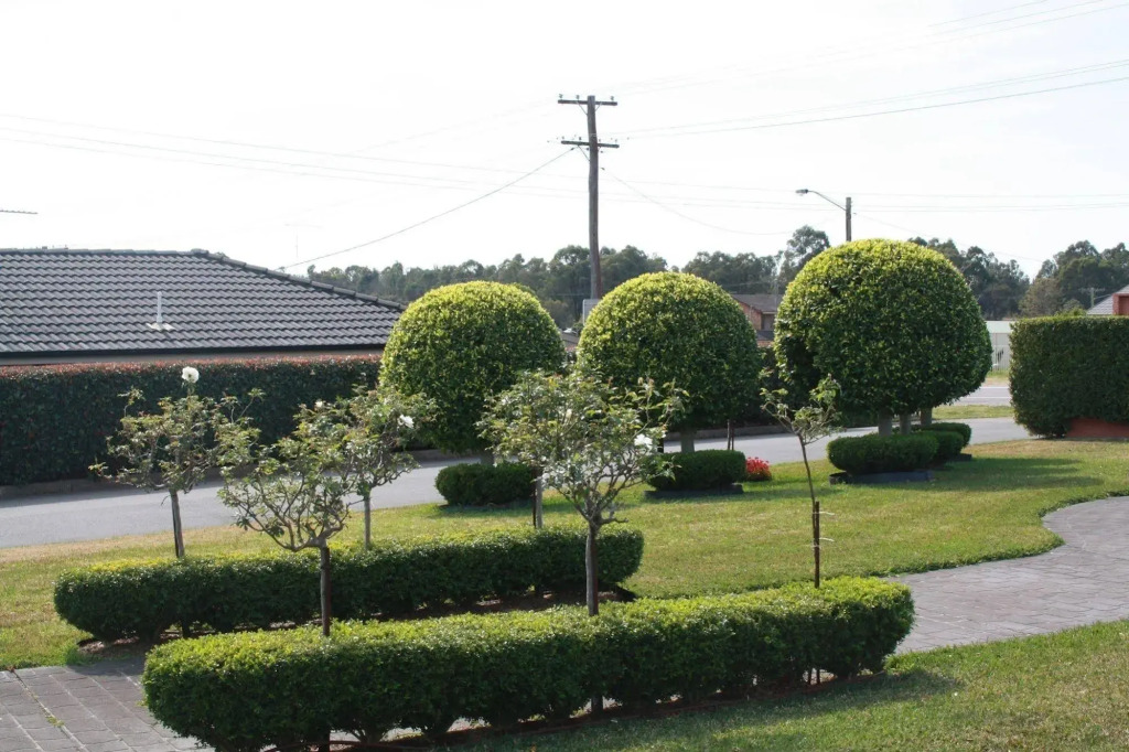 Hunter Valley Travellers Rest Motel