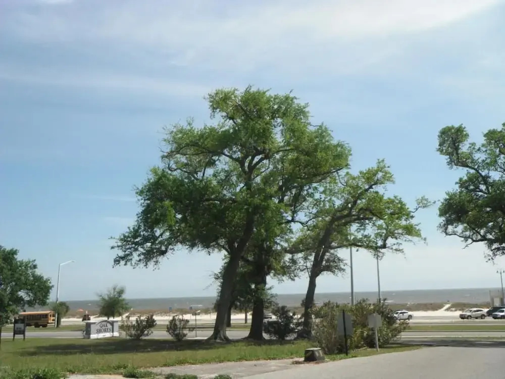 Oak Shores-Oak Shores 115