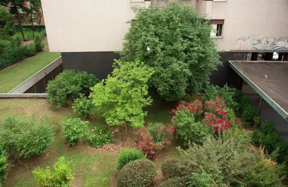 Aurora Guest House