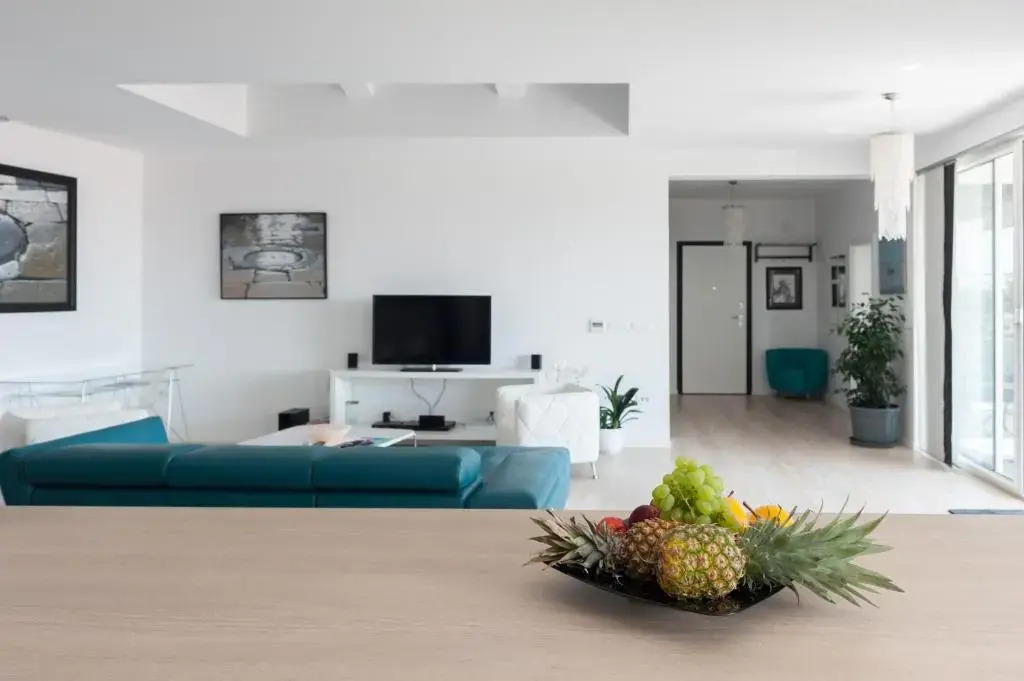 Penthouse Apartment
