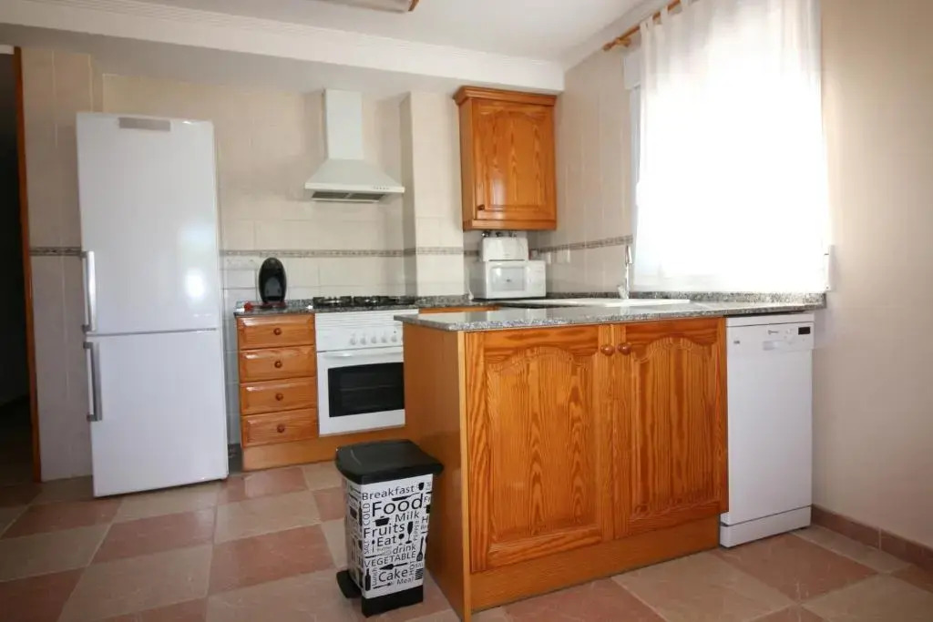 Oliva Holidays 2