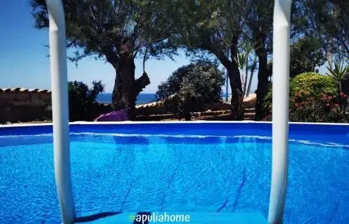 Monolocale Emma Torre Suda