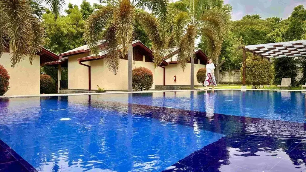 Jungle Paradise