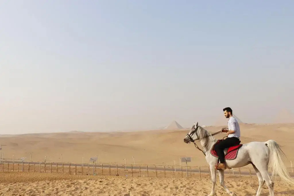 The Farm - Hotel & Horse Riding