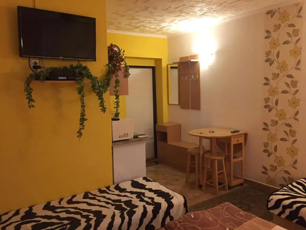 Studio Florida