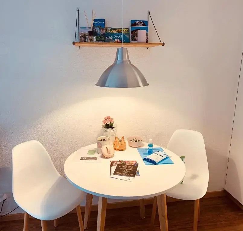 Studio im modernen Alpenstyle