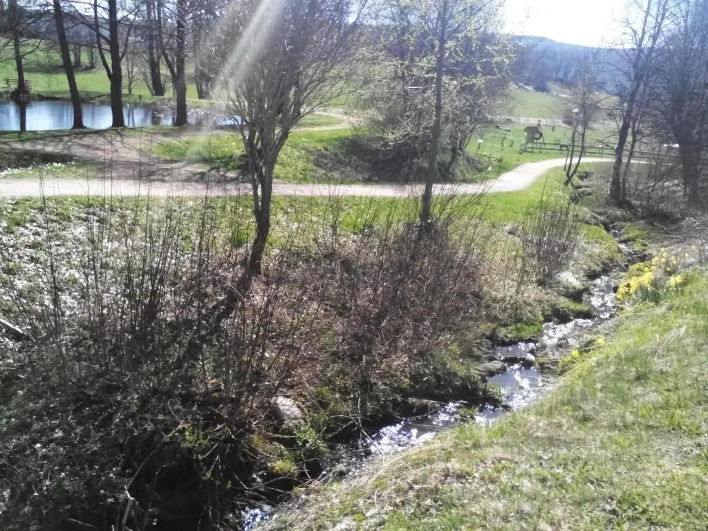 Apartment Schluchsee