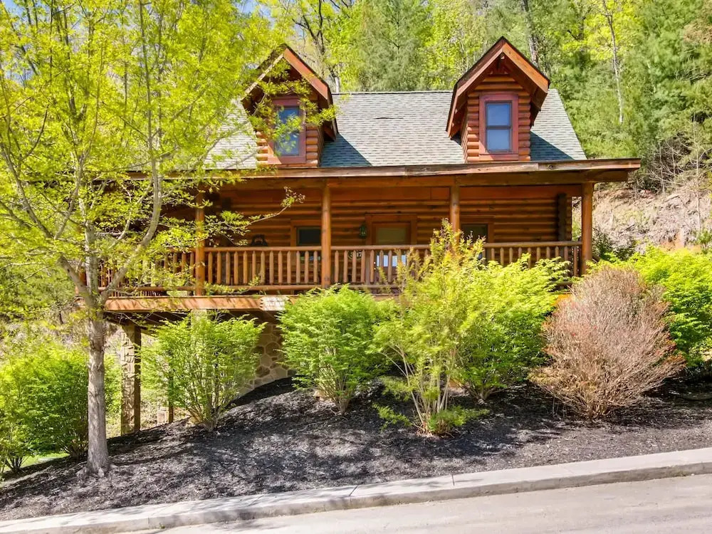 Bear Paws Too 1 Bedroom 1 Bathroom Cabin