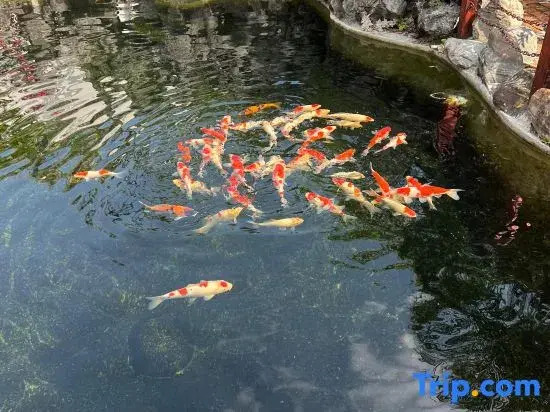 MangShi LiangJin homestay