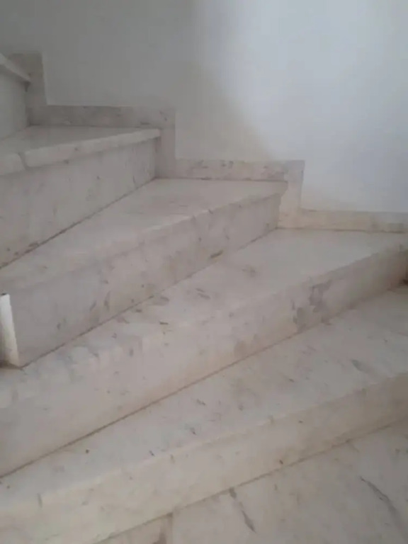 Antonia House