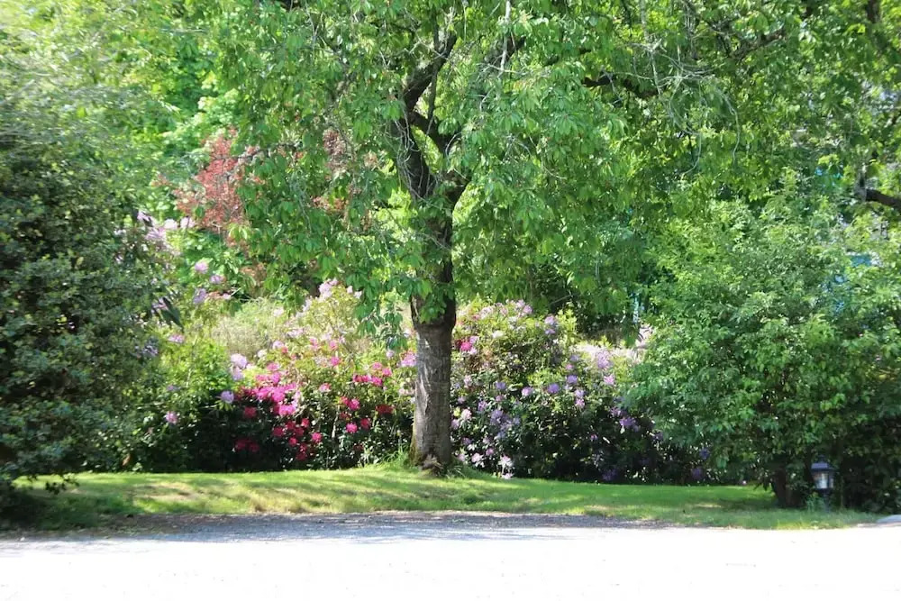 Le Manoir du Rodoir