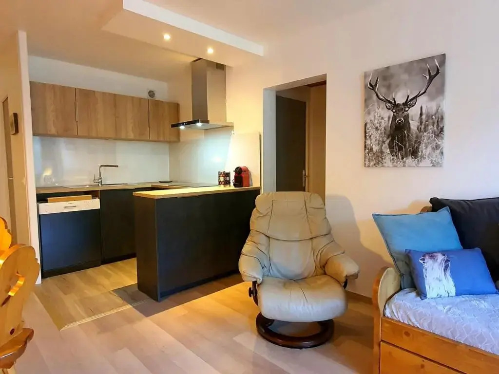 Appartement Châtel, 3 pièces, 6 personnes - FR-1-200-208