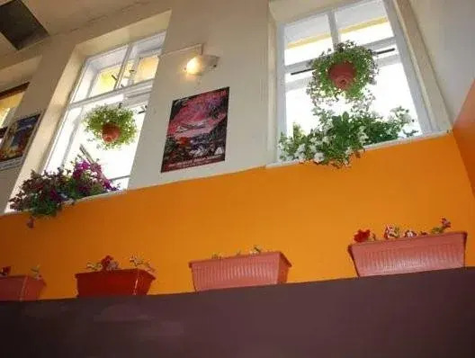 Central Station Hostel