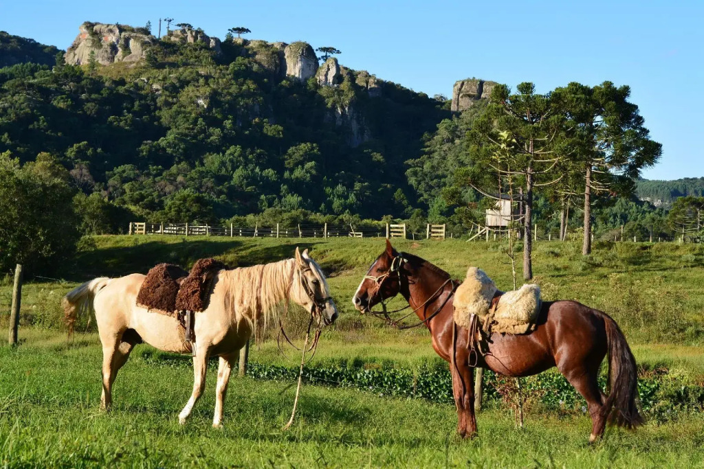 Pedras Brancas Hotel Fazenda