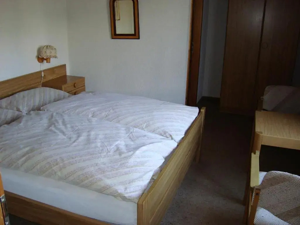 Hotel Rothorn Vintage-Style