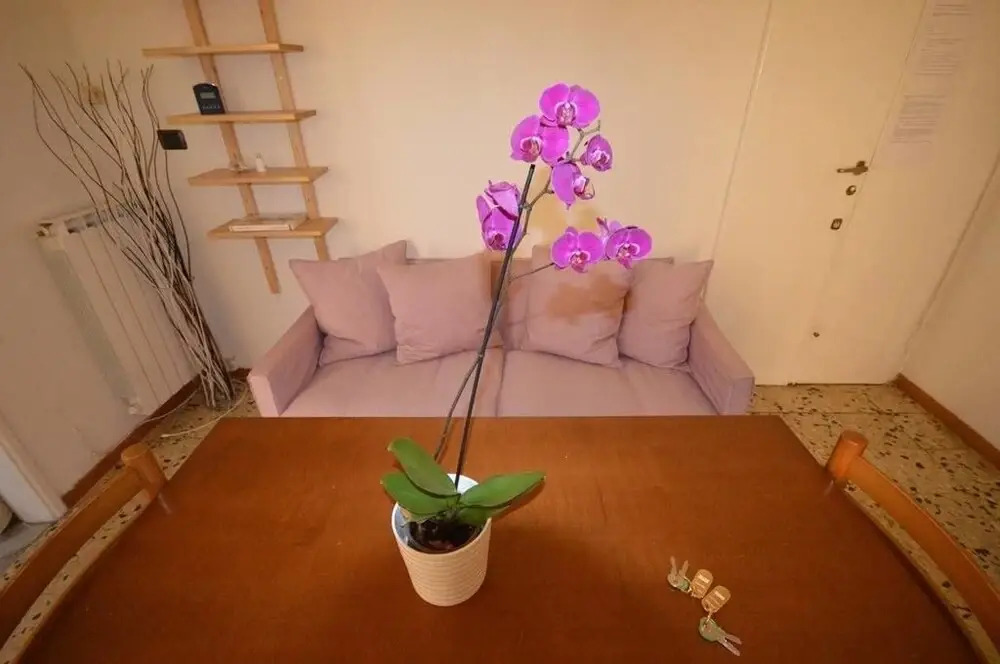 Bruni Apartment