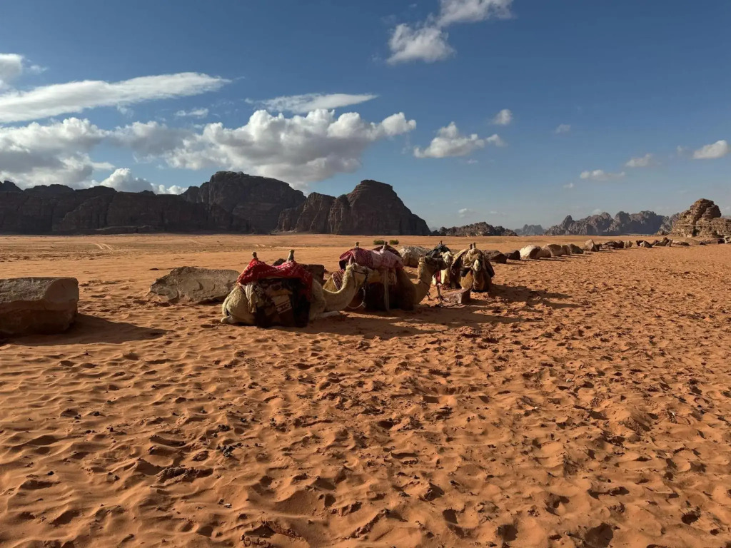 مخيم الماسة